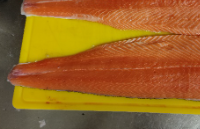 14tägig: St. Patrick Bio-Lachs aus Irland